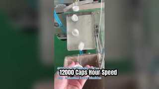 4000 To 12000pcs/Hour Cap Liner Insertion Machine 60mm Cap  Induction Liner Machine