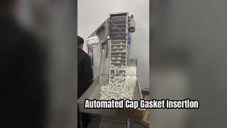 3 Cavities Foam Insert Machine Match With Tick Out Device